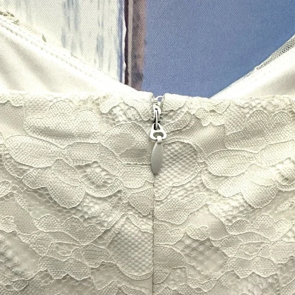 Torrid Ivory Lace Overlay Capelet Sz 20 Wedding Dress Ever After Cloud Dancer - Picture 13 of 16